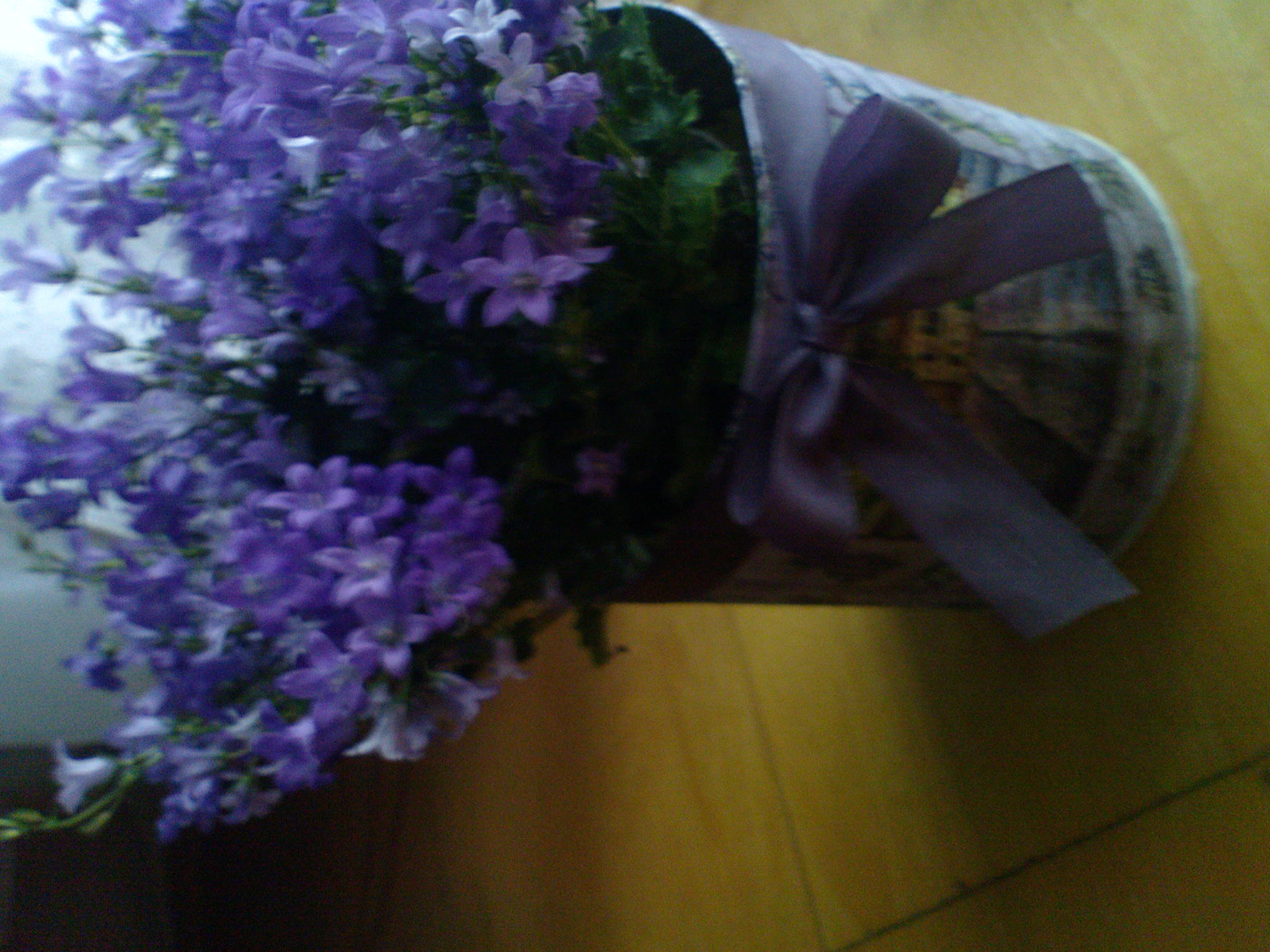 (52)DSC00055